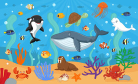 卡通海洋鲸鱼海底动物珊瑚背景墙
