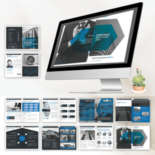 报告画册InDesign模板