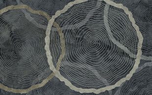 年轮木纹复古工业暖灰背景墙