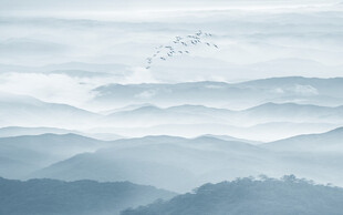 水墨禅意山水画背景墙