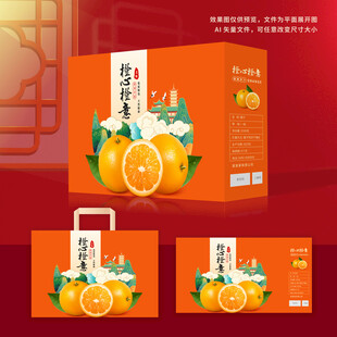 橙子包装 脐橙礼盒