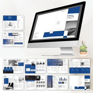 蓝色通用画册ID设计模板