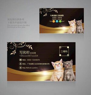 宠物名片设计