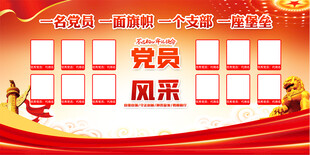 党员风采展板