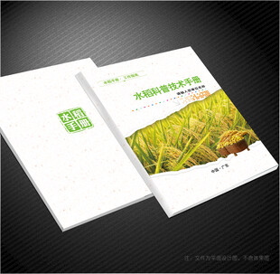 水稻封面