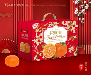 芦柑包装 椪柑礼盒