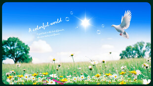 小清新本本风景画