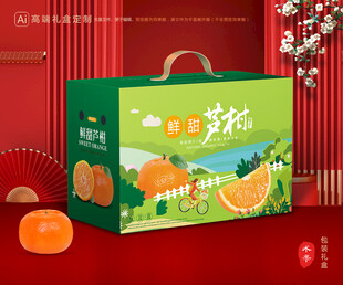 芦柑包装 椪柑礼盒
