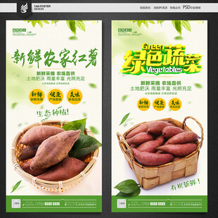红薯