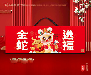 年货包装 新年礼盒