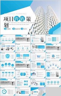 项目营销策划PPT