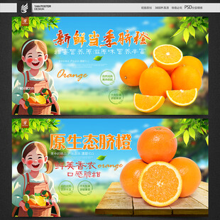 脐橙海报
