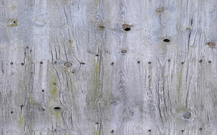 高清青灰色木纹纹理