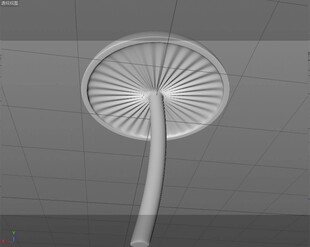 立体蘑菇海报展架3d名片宣传册