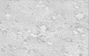 高清浅灰色大理石石纹