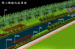 道路绿化效果图