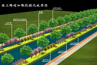 道路绿化施工图