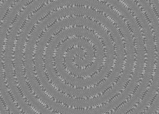 2024年最新经典纹路