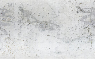 高清灰色斑驳墙壁背景墙