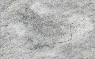 高清灰色斑驳墙壁背景墙