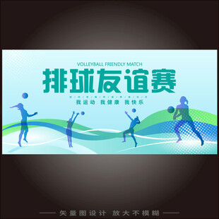 排球友谊赛