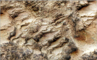 高清斑驳褐色岩石纹理