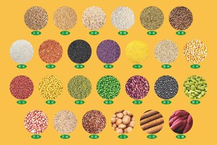 五谷杂粮 米 谷 豆 麦 杂粮