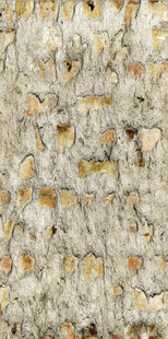 高清斑驳砖墙纹理