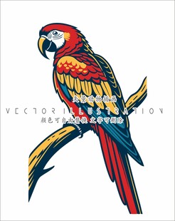 鹦鹉插画