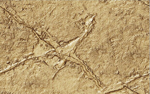 高清斑驳金色岩石纹理