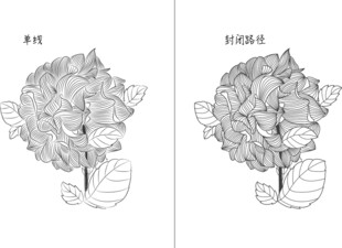 花 矢量图 ai和eps兼容