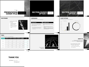 高端极简高级灰黑白灰欧式PPT