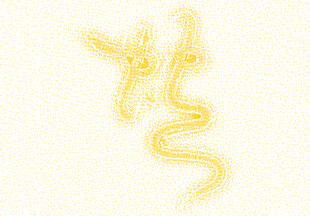 生肖蛇艺术设计