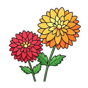 矢量植物花朵绽放菊花