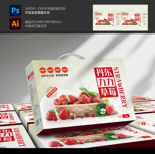 草莓包装