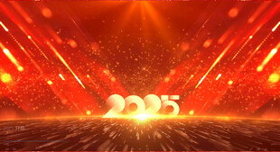 2025年会晚会开幕式