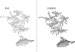 桂花与鸟 矢量图