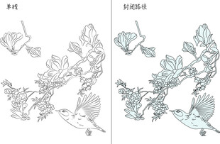 白玉兰与鸟 矢量图