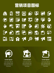营销项目