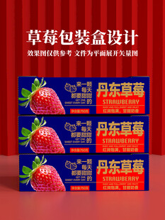 丹东草莓展示盒包装