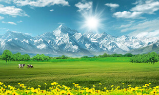 蓝天白云大草原