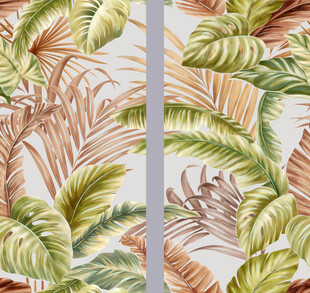 芭蕉叶热带雨林