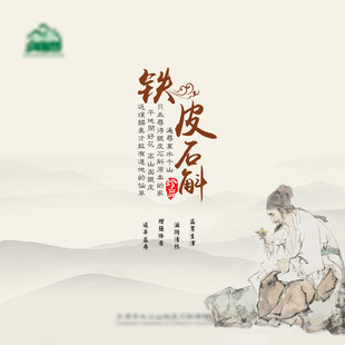 铁皮石斛包装盒礼盒手提袋设计