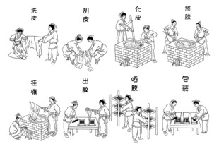 阿胶制作工艺流程