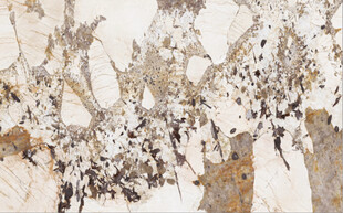 高清褐色沙漠石大理石