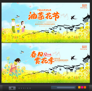 油菜花