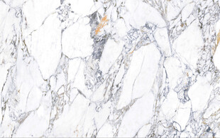 高清鱼肚白网纹大理石