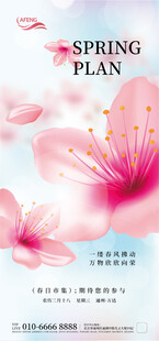 春季花朵海报