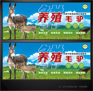 驴养殖展板