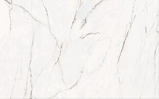 高清爵士白鱼肚金大理石